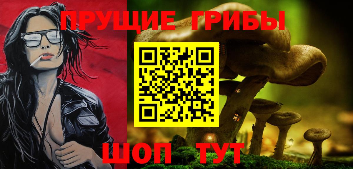 Псилоцибиновые грибы мицелий  Вход с VPN  Ипатово  Псилоцибиновые грибы мицелий 