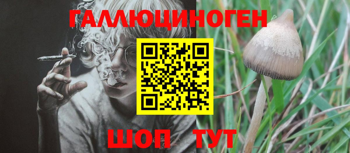 Галлюциногенные грибы мухоморы Ипатово